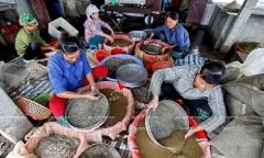 Anh nông dân thu 200 triệu đồng mỗi tháng nhờ 