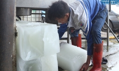 Bàn tay tím tái của những người làm nghề khuân đá lạnh trong thời tiết rét buốt
