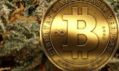 Chuyên gia thế giới nói gì khi bitcoin vượt xa hầu hết các dự đoán?