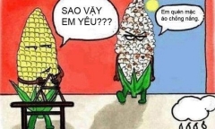 Cười rớt nước mắt với loạt ảnh chế nắng nóng ở Hà Nội của cư dân mạng