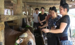 Lan tỏa những tấm gương học và làm theo Bác 