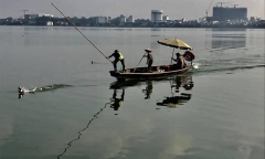 Xác minh việc nhân viên môi trường vây bắt, đập vịt trời trên Hồ Tây