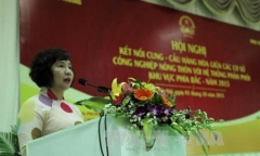 Thực hiện nghiêm chỉ đạo của Tổng Bí thư liên quan Thứ trưởng Hồ Thị Kim Thoa