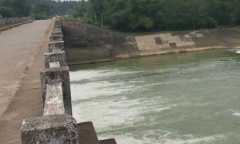 Lời con trẻ tố cáo 