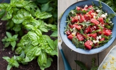 Biến dưa hấu thành món salad mát lạnh người già đến trẻ nhỏ đều mê