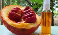 Những bí quyết làm đẹp được lưu truyền từ xưa đến nay