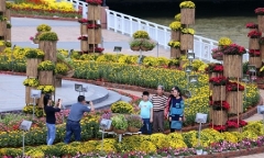 Sông Hàn Đà Nẵng 
