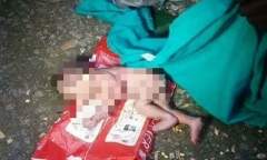 Cha mẹ bỏ trong thùng rác, bé sơ sinh bị kiến bu đầy