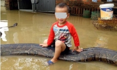 Tin tức mới nhất vụ bé trai 3 tuổi cưỡi trăn 