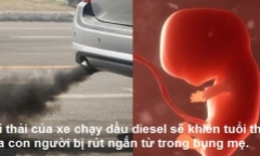 Không muốn con mình sinh ra chết yểu, các bà mẹ phải tránh xa ống xả xe buýt ngay