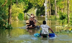 Phó GĐ Sở NN&PTNT: Trong nghề không có câu 