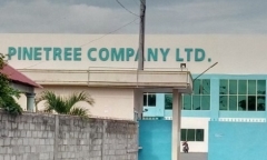Phát hiện trong cơm có dòi, hơn 500 công nhân may bỏ làm