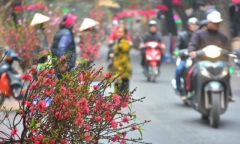 Trước Tết Nguyên đán, miền Bắc đón mưa rét