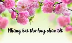 Xem hình ảnh trong camera phòng khách, tôi lập tức đuổi vợ ra khỏi nhà