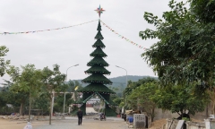 Ngắm cây thông Noel cao bằng tòa nhà 7 tầng