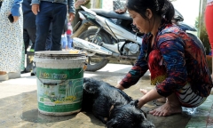Báo động tình trạng 
