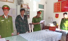Trốn thuế hơn 1,6 tỷ đồng, một giám đốc doanh nghiệp ở Quảng Nam bị khởi tố