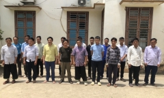 Đánh bạc bằng chọi trâu, 19 người bị khởi tố