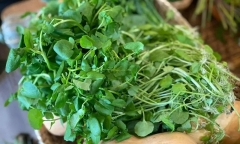 Loại rau được đánh giá 