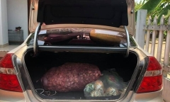 Xe con có được chở hàng không?