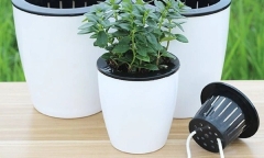 Tuyệt chiêu giúp cây cảnh tự tưới nước