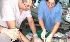Mất điện đêm mưa bão, bác sĩ đứng bóp bóng thay máy thở cứu bệnh nhân