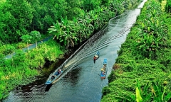 Kinh nghiệm du lịch Cà Mau 2 ngày 1 đêm