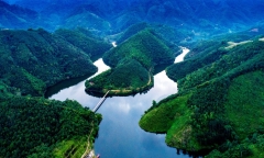 Hồ Ly – điểm 