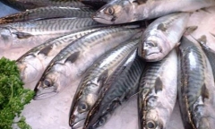 Dấu hiệu cá ướp urê