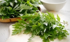 Mẹo sử dụng ngải cứu để làm đẹp da và tóc hiệu quả