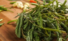 Rau rút chữa bệnh gì?