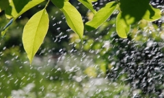 Tin tức dự báo thời tiết hôm nay 2/5: Tây Bắc ngày nắng, Bắc Bộ tối và đêm mưa