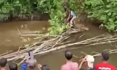 Đang bắt ốc sên, người phụ nữ bị cá sấu dài 5,8 mét tấn công, tử vong thương tâm