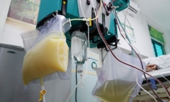 Huyết tương trắng đục như sữa, người đàn ông nhập viện cấp cứu trong đêm