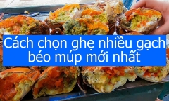 Chọn được ghẹ nhiều gạch, béo múp chỉ cần nhìn vào 5 điểm này