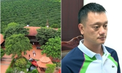 Hé lộ thú chơi 