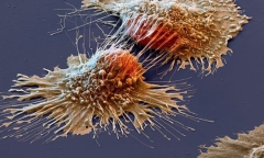 TS nổi tiếng Mỹ tiết lộ 6 “chiến binh