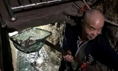 Ông lão tìm thấy 