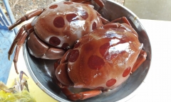 Đặc sản ở Bình Thuận có tên rất lạ, giá 500.000 đồng/kg người thành phố ưa chuộng đến lạ