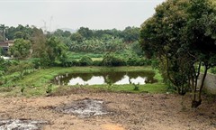 Đất ao được cấp sổ riêng năm 2011 có được xác định là đất vườn, ao gắn liền với đất ở?