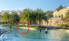 Vì sao vụ bé trai người Nhật bị đuối nước tại resort ở Mũi Né bị tạm đình chỉ?