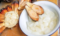 Loại quả ngày xưa rụng đầy không ai ngó, nay thành