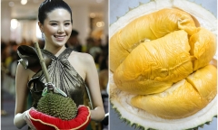 Không phải Musang King, đây mới là loại sầu riêng đắt nhất thế giới, 1 năm chỉ có đúng 10 trái