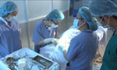 Hà Nội: 4 quận, huyện có chỉ số côn trùng sốt xuất huyết cao vượt ngưỡng