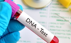 Bố tráo mẫu ADN để trốn 3,2 tỷ đồng cấp dưỡng nuôi con, lãnh án tù vì bị mẹ ruột vạch trần