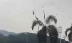 Hai trực thăng Malaysia đâm vào nhau khiến 10 người thiệt mạng