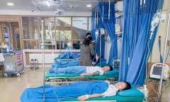 4 học sinh nhập viện khẩn cấp vì ong đốt sau trò nghịch dại của bạn học