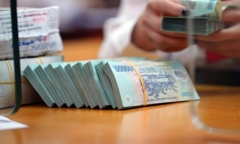 Cây đào cổ thụ 