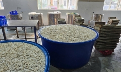 Cận cảnh hơn 13 tấn chân gà ngâm chất tẩy trắng H2O2 ở Thanh Hóa