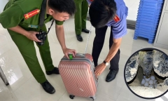Mua trứng vích ở Côn Đảo mang về, mẹ chồng và con dâu bị khởi tố